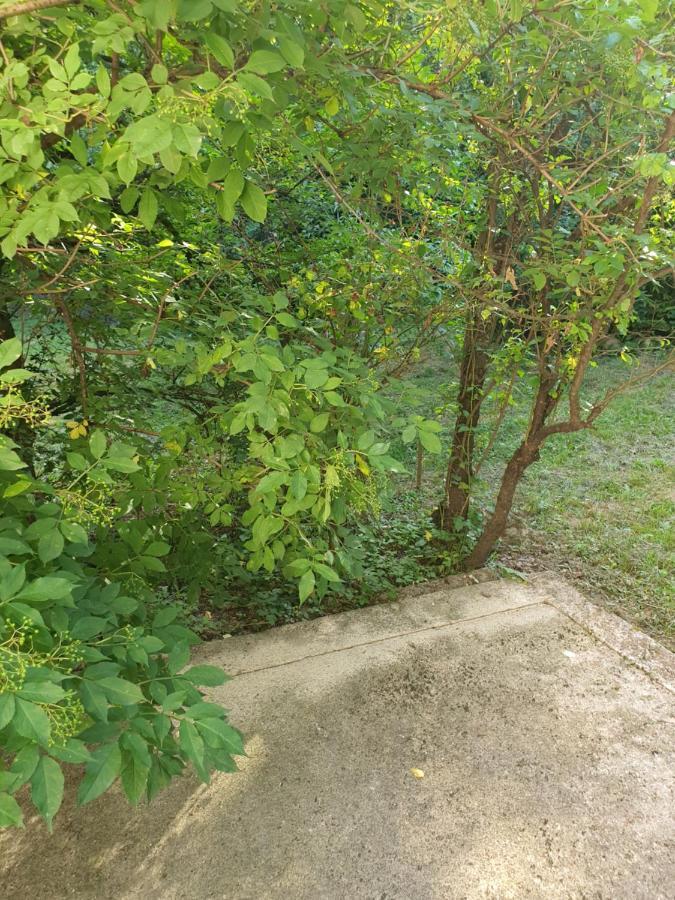 Apartman Runolist Delnice Zewnętrze zdjęcie