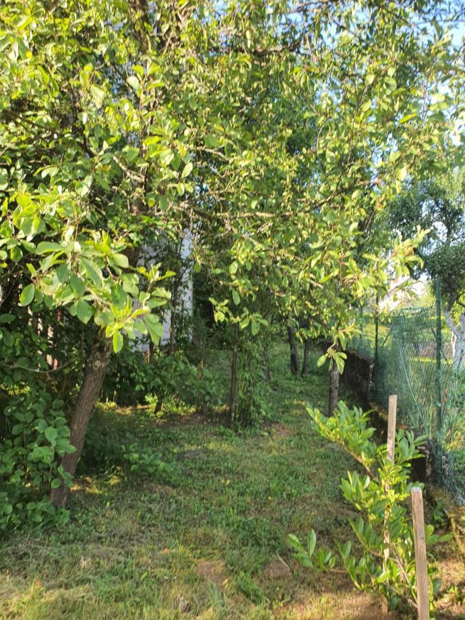 Apartman Runolist Delnice Zewnętrze zdjęcie